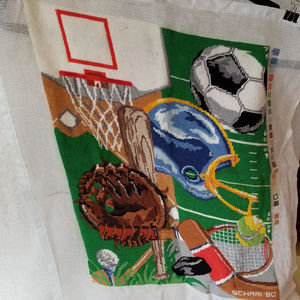 FINISHED sports themed needlepoint needs frame